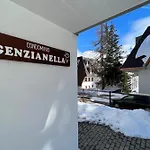 Genzianella In-ski Out 100m - Happy