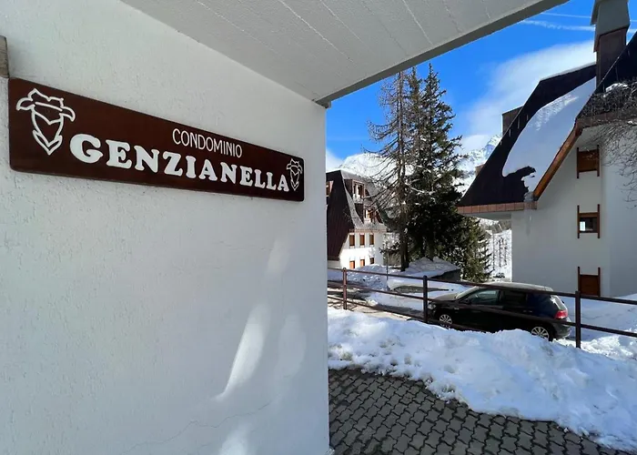 Genzianella In-ski Out 100m - Happy